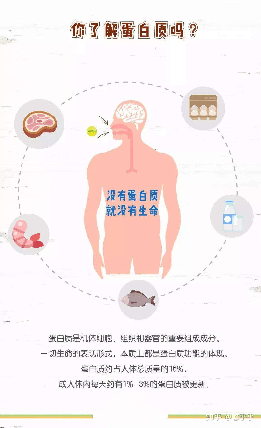 什么食物补钙好（老年人吃什么食物补钙好）-硒宝网