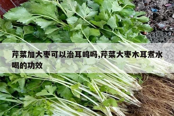 锌硒宝治疗耳鸣吗(锌耳鸣)-硒宝网