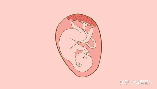 怀孕可以锌硒宝吗（锌硒宝怀孕可以吃吗）-硒宝网