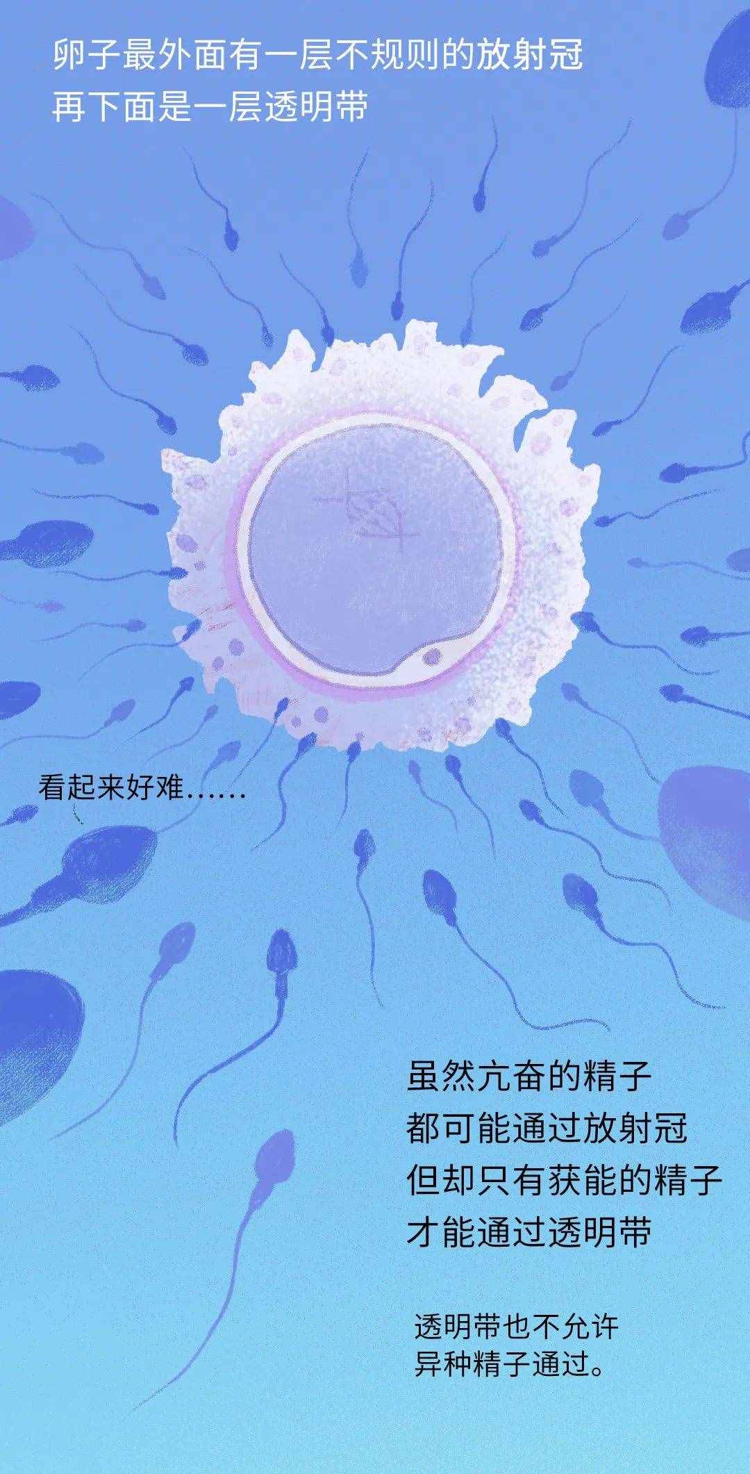 男士锌硒宝怎么吃(男人吃锌硒宝要吃多久见效)-硒宝网