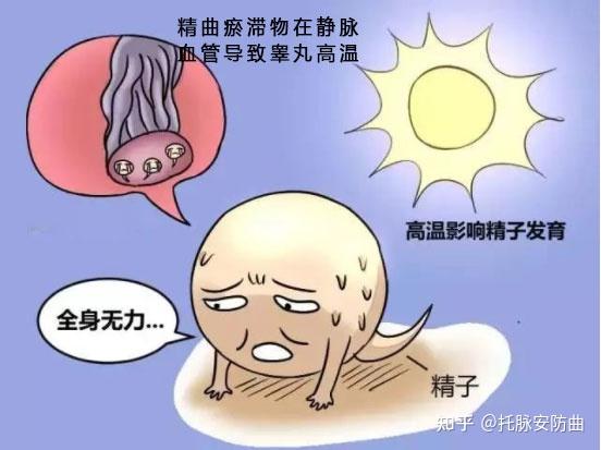 男士锌硒宝怎么吃(男人吃锌硒宝要吃多久见效)-硒宝网