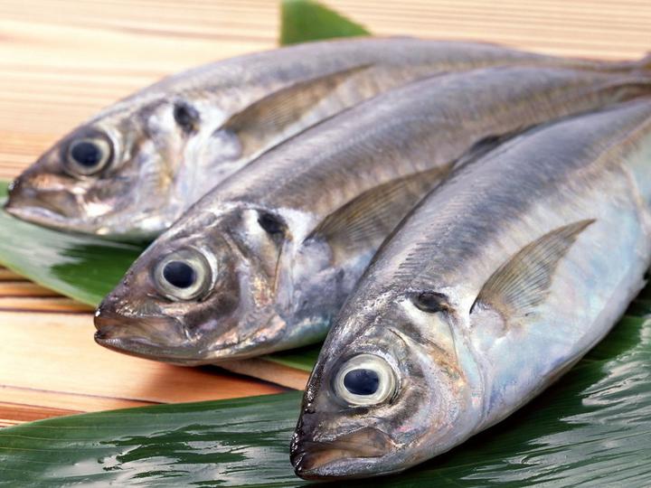 蛋白锌硒宝哪个好(蛋白粉锌硒宝)-硒宝网