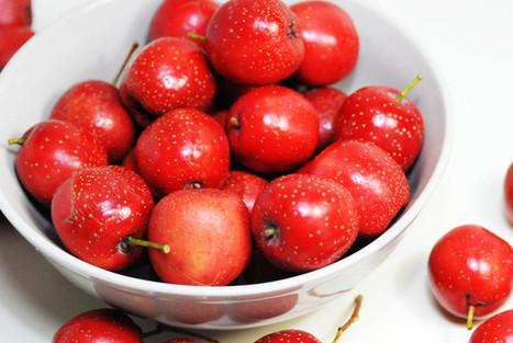 蛋白锌硒宝哪个好(蛋白粉锌硒宝)-硒宝网