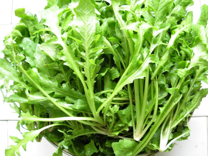 蛋白锌硒宝哪个好(蛋白粉锌硒宝)-硒宝网