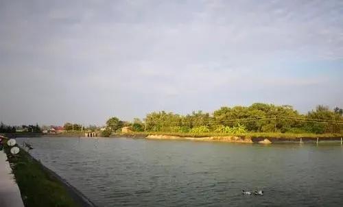 虾壳补钙吗（虾壳补钙是真的吗）-硒宝网