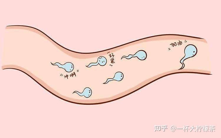 男士锌硒宝怎么吃（男生吃锌硒宝）-硒宝网