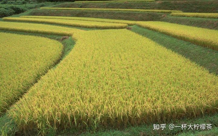 男士锌硒宝怎么吃（男生吃锌硒宝）-硒宝网