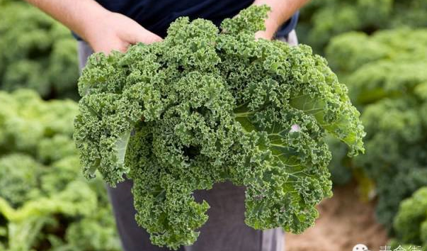 补钙食物前十名（补钙食物排名前几位）-硒宝网