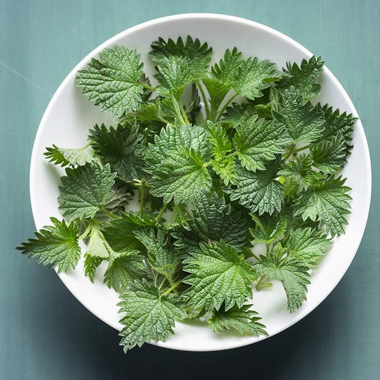 补钙食物前十名（补钙食物排名前几位）-硒宝网