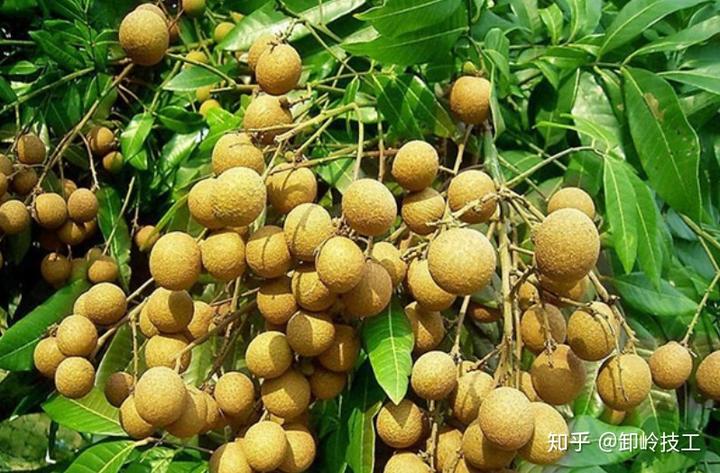 锌硒宝含量纯度高(锌硒宝含量表)-硒宝网