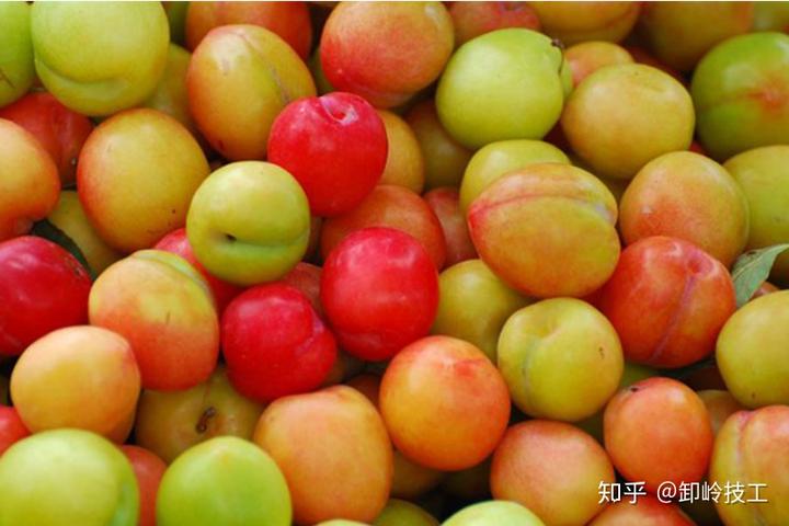 锌硒宝含量纯度高(锌硒宝含量表)-硒宝网