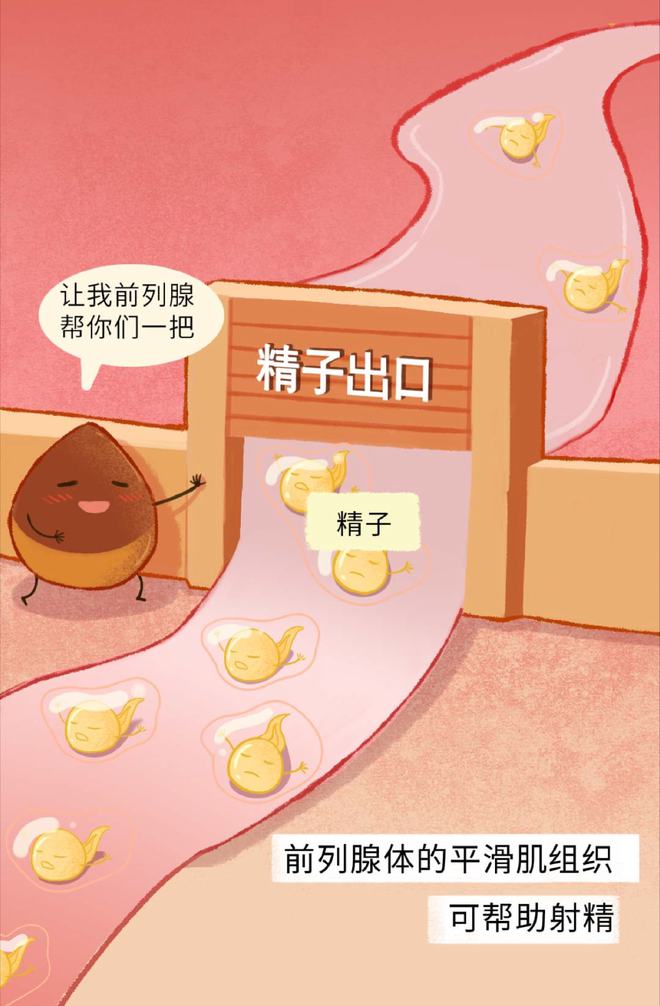 锌硒宝对男人好吗（锌硒宝对男人）-硒宝网