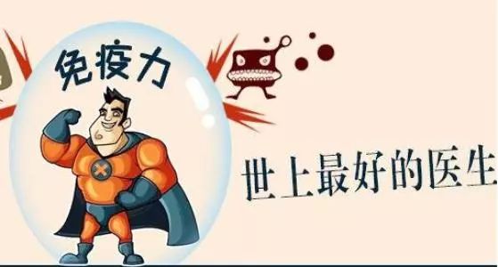 身体微量元素(微量元素身体哪个器官调节)-硒宝网