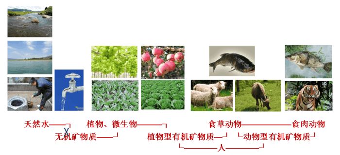 什么锌硒宝含量高(锌硒宝含量高的好还是低的好)-硒宝网