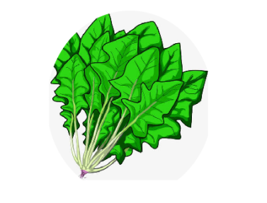 孕妇补铁到多少周停止(孕妇补铁补到几个月停止)-硒宝网