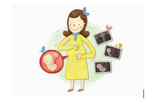 孕妇补铁到多少周停止(孕妇补铁补到几个月停止)-硒宝网