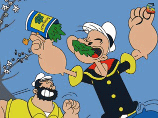 补铁吃什么食物（补铁吃的东西）-硒宝网