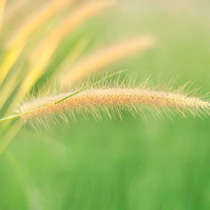 锌硒宝 那儿有卖(锌硒宝是保健品吗)-硒宝网