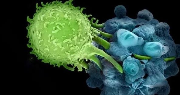 锌硒宝片牌子推荐（锌硒宝片哪个牌子好）-硒宝网