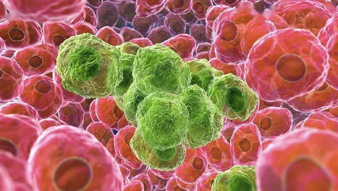 锌硒宝片牌子推荐（锌硒宝片哪个牌子好）-硒宝网