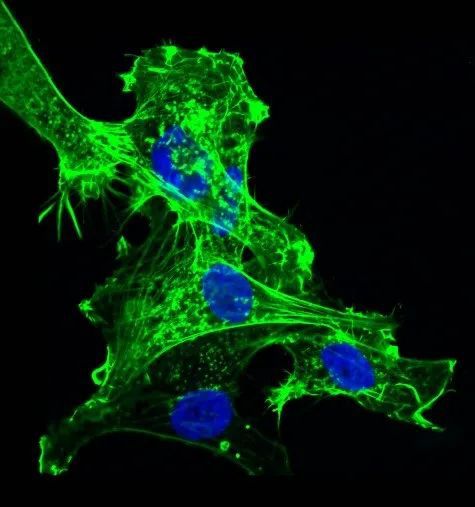 锌硒宝片牌子推荐（锌硒宝片哪个牌子好）-硒宝网