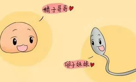 锌硒宝对精子密度(锌精矿密度)-硒宝网
