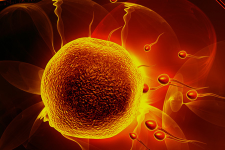 锌硒宝对精子密度(锌精矿密度)-硒宝网