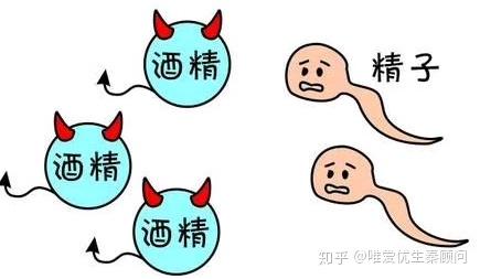 锌硒宝对精子密度（锌密度）-硒宝网