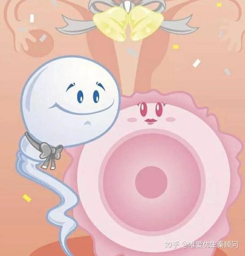 锌硒宝对精子密度（锌密度）-硒宝网