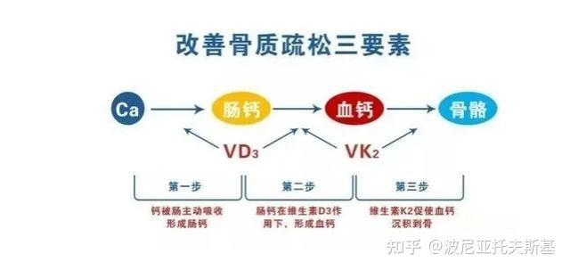 补钙应该吃什么(补充钙需要吃什么)-硒宝网