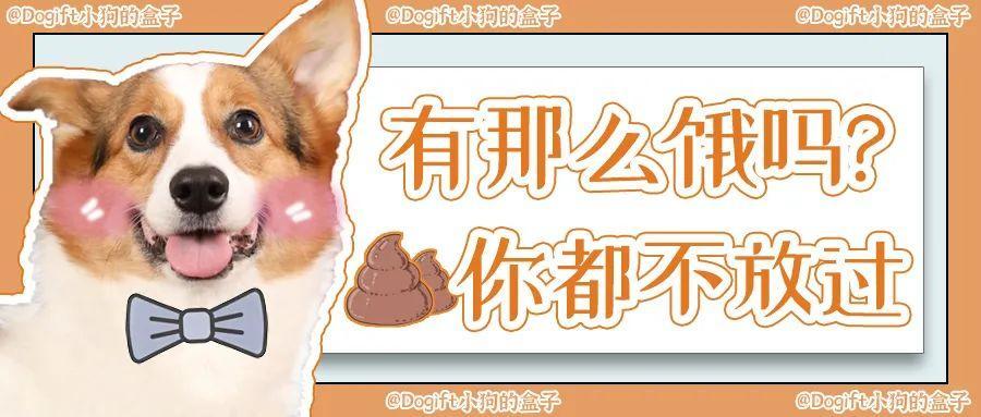 微量元素多少钱（微量元素j）-硒宝网