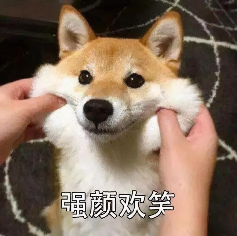 微量元素多少钱（微量元素j）-硒宝网