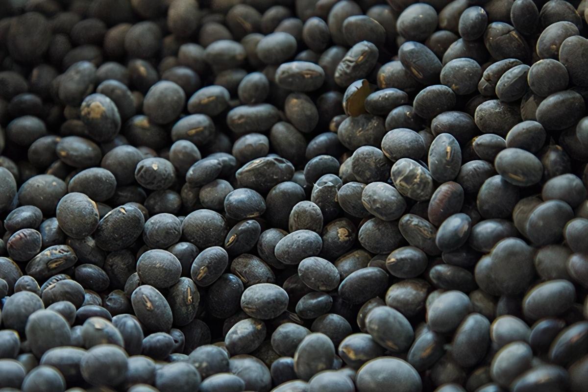 白头发是缺什么微量元素(缺什么微量元素头发白)-硒宝网