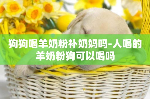 锌硒宝狗狗能吃吗(狗狗补锌)-硒宝网