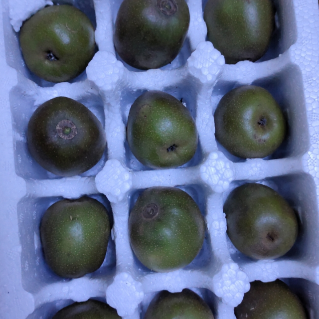 成年男性锌硒宝片（锌硒宝男人吃哪种好）-硒宝网