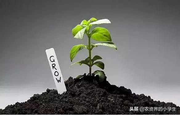 微量元素多少钱(微量元素cu)-硒宝网