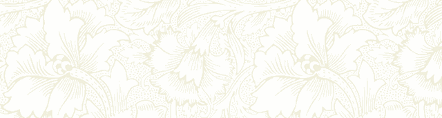 啥钙片补钙效果最好(补钙钙片哪个好)-硒宝网