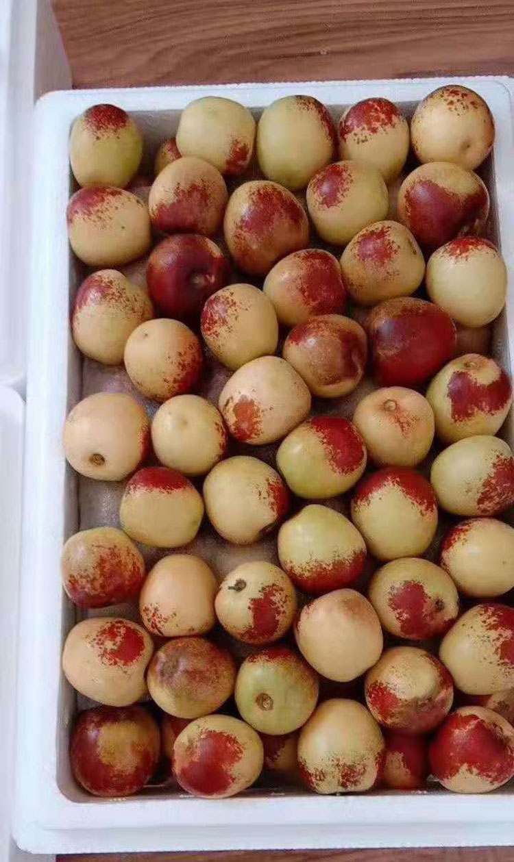 什么水果补锌(吃什么水果补锌)-硒宝网