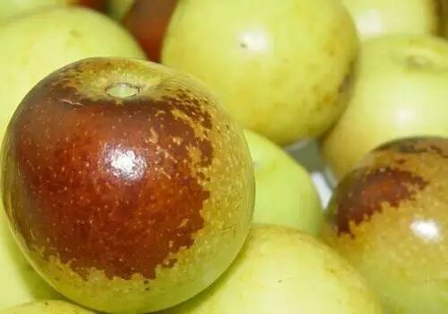 什么水果补锌(吃什么水果补锌)-硒宝网