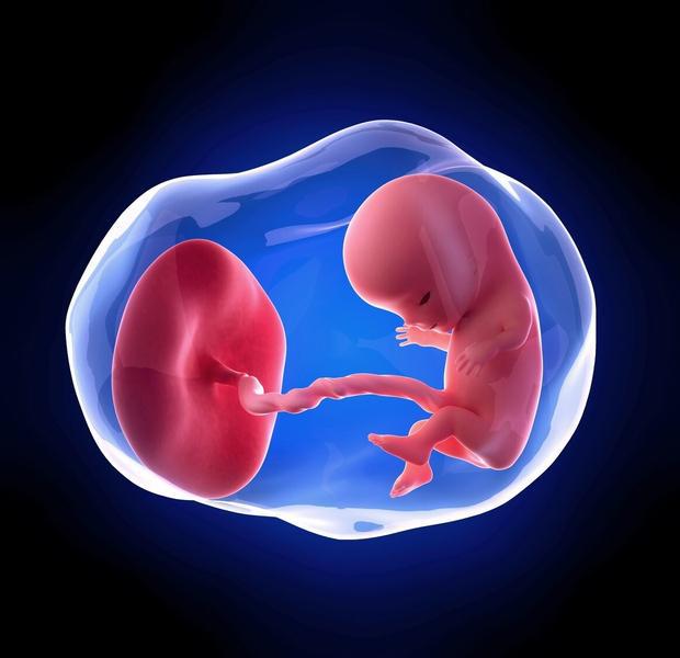 锌硒宝影响生女孩(锌硒对儿童生长发育的影响)-硒宝网