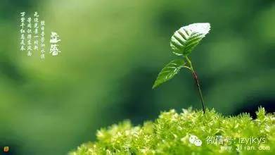 穿衣服晒太阳能补钙吗(补钙晒太阳穿什么颜色衣服好)-硒宝网