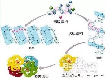 孕妇吃什么可以补钙（孕期补钙可以吃钙片吗）-硒宝网