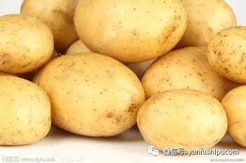 孕妇吃什么可以补钙（孕期补钙可以吃钙片吗）-硒宝网