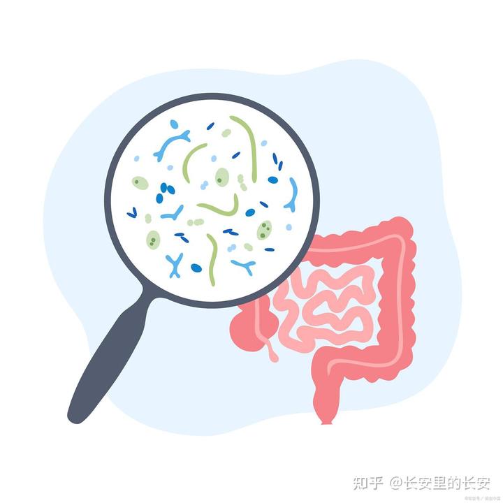 锌硒宝孕妇抗炎症(锌硒宝片孕妇吃有什么功效)-硒宝网