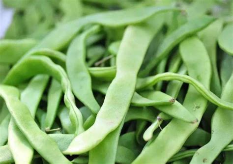 锌硒宝的主要作用（锌硒宝是什么药）-硒宝网