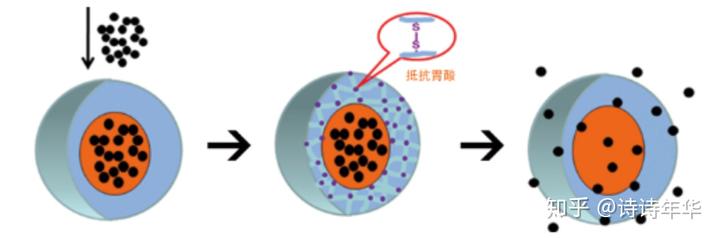 补铁的好处（补铁好处）-硒宝网