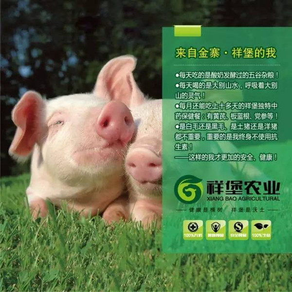 成人锌硒宝吃多久（成人吃锌硒宝一天吃多少）-硒宝网