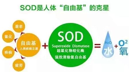 锌硒宝孩子能吃吗(锌硒宝儿童吃会导致早熟吗)-硒宝网