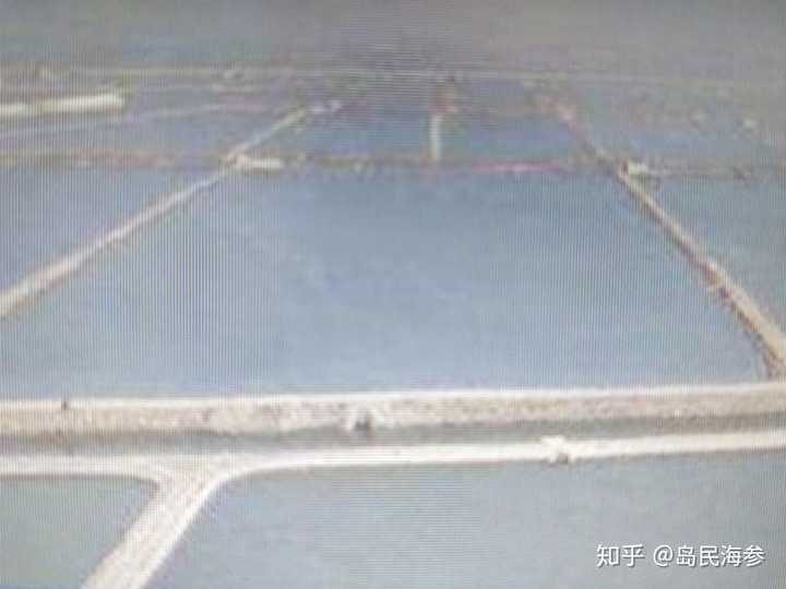 吃了锌硒宝要睡觉(锌硒宝能随便吃吗)-硒宝网