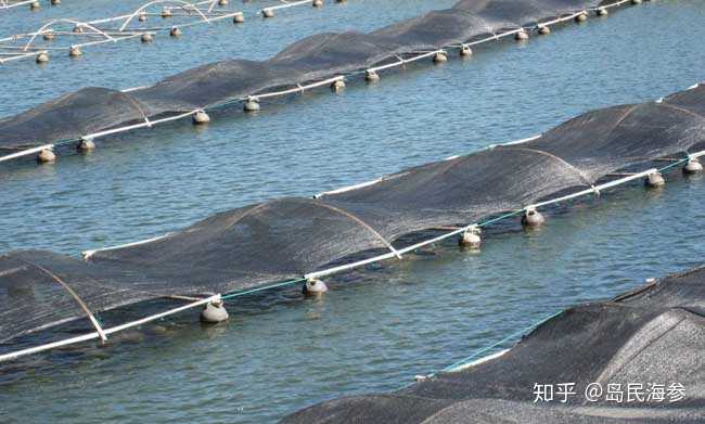 吃了锌硒宝要睡觉(锌硒宝能随便吃吗)-硒宝网